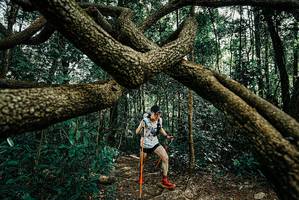 BIB: 
                            <button type="button" onclick="openModal(25664489)" class="btn btn-primary btn-sm float-right btn-popup" data-toggle="modal" data-target=".modal-high-quality">
                        <i class="fas fa-shopping-cart"></i> Add to Cart
                    </button>
                                            <button type="button" onclick="isThisMe(25664489, true)" class="btn btn-success btn-sm float-right btn-popup btn-isme hidden" data-toggle="tooltip" data-placement="bottom" title="นี่คือรูปของคุณใช่ไหม คลิกที่นี่เพื่อเอาเข้าอัลบั้ม">
                        <i class="fas fa-plus"></i> Add to album
                    </button>
                    <button type="button" onclick="isThisMe(25664489, false)" class="btn btn-warning btn-sm float-right btn-popup btn-isnotme hidden">
                        <i class="fas fa-ban"></i> Remove from album
                    </button>